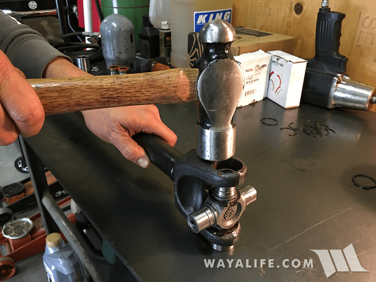 main.php_14.jpg main.php_14.jpg