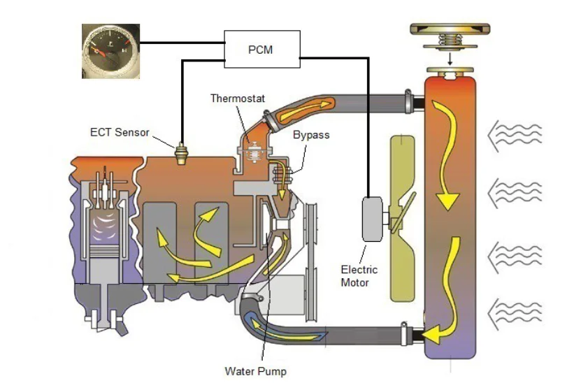 1651524429612.webp