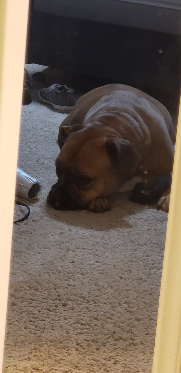 20200213_190003.jpg 20200213_190003.jpg