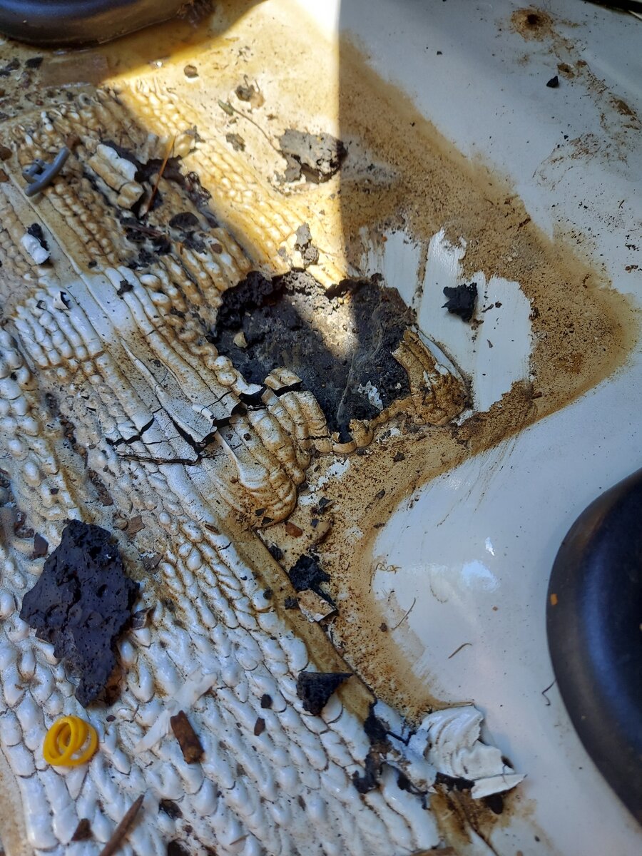 20210618_144337.jpg 20210618_144337.jpg