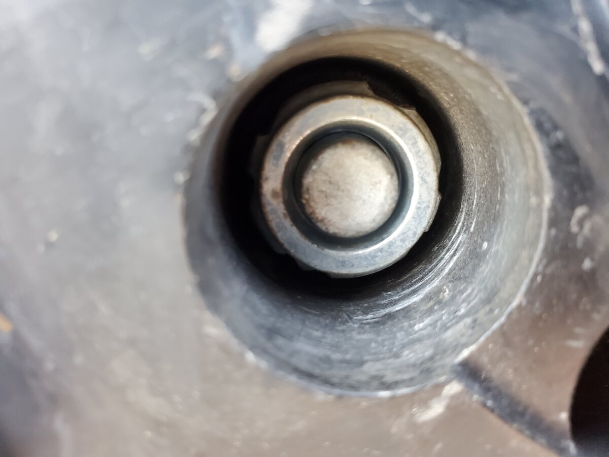 20220511_145558.jpg 20220511_145558.jpg