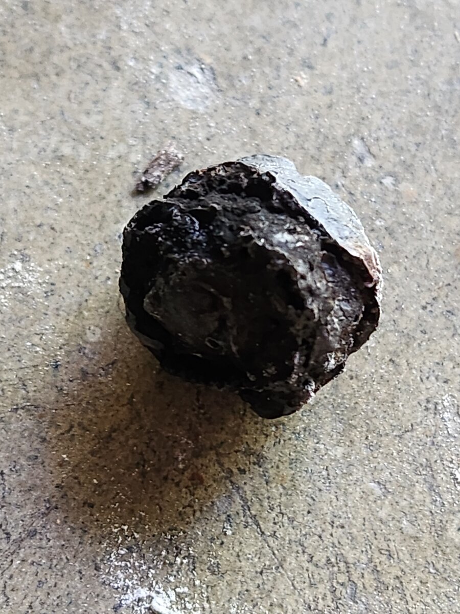 20230815_164031.jpg 20230815_164031.jpg