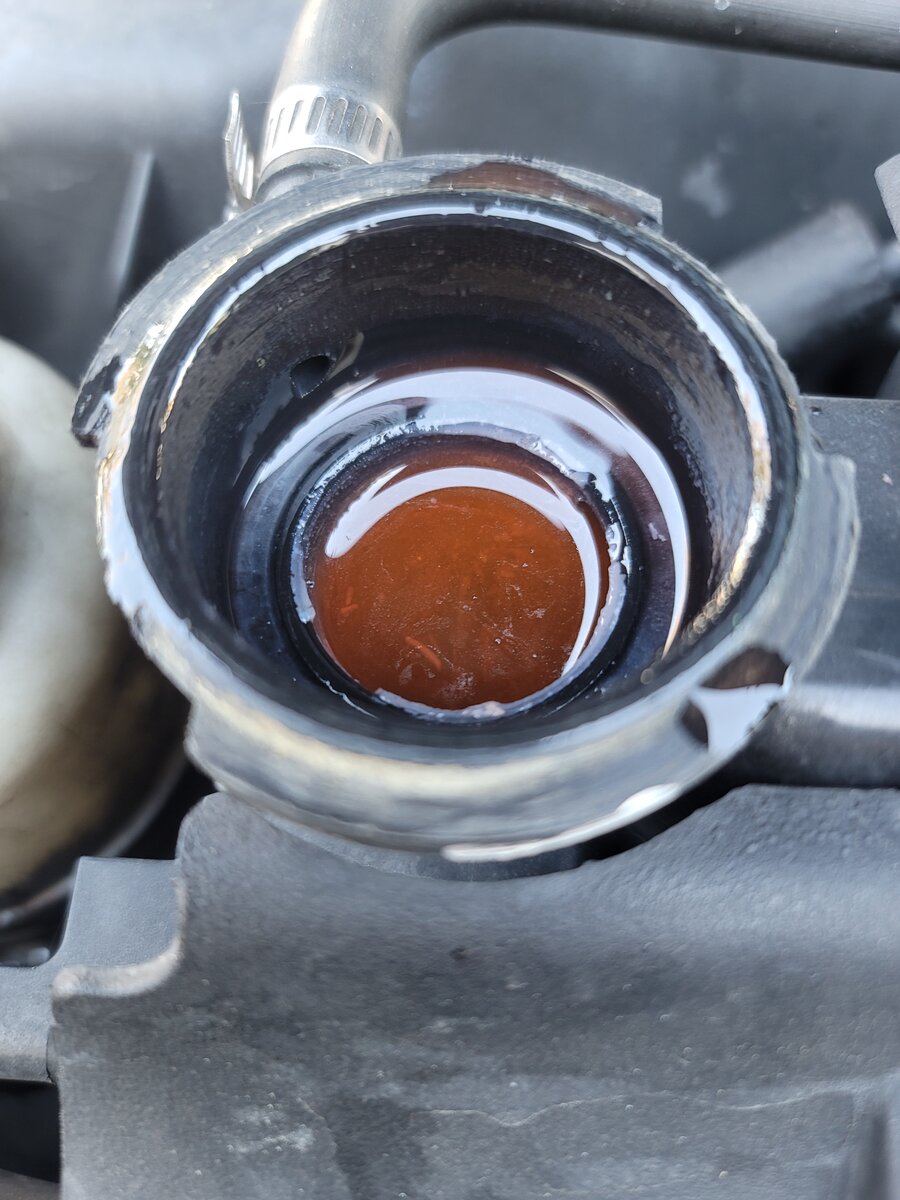 Warped cylinder head or blown head gasket?? Jeep Wrangler JK Forum