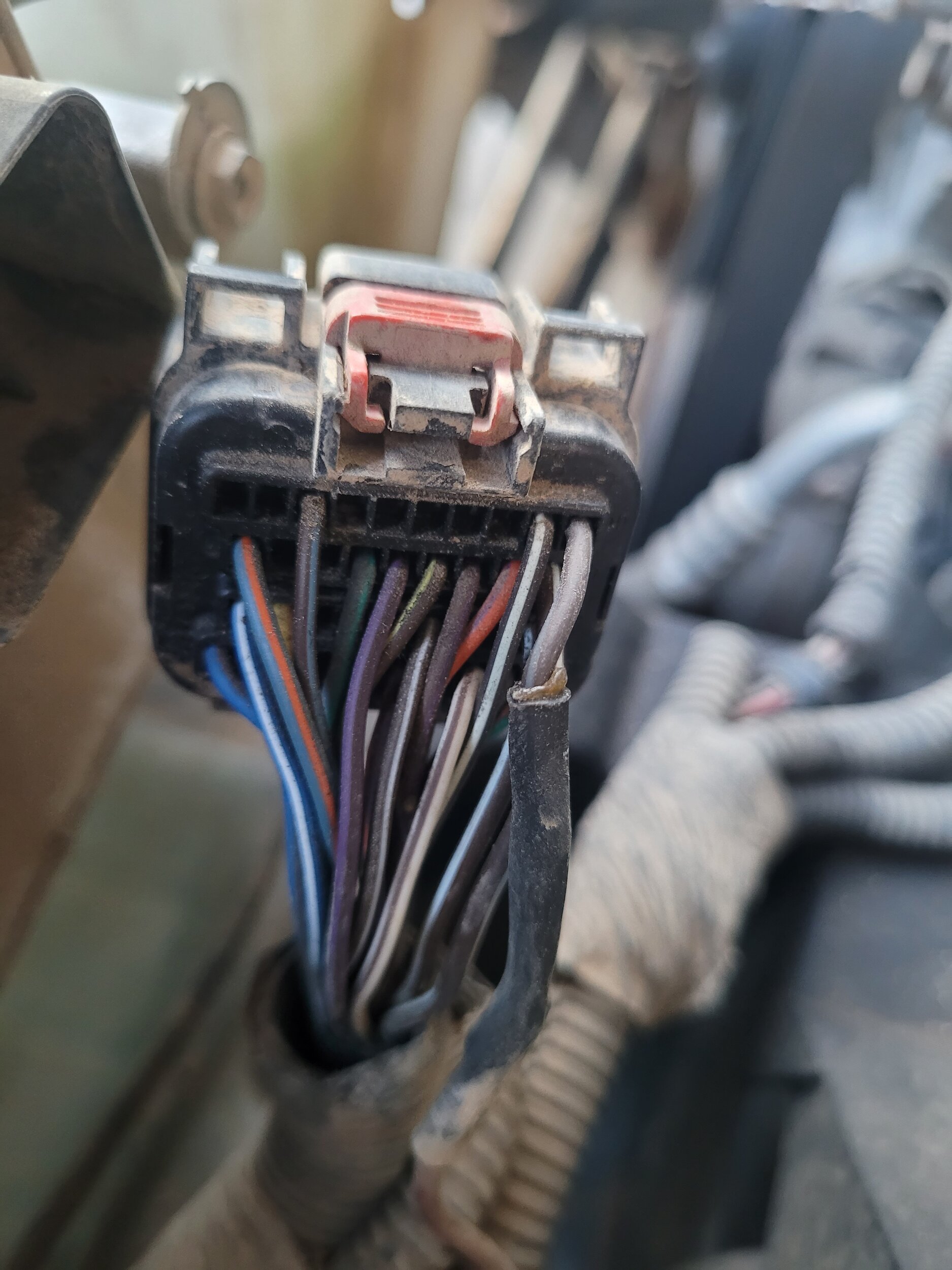 20231231_163650.jpg 20231231_163650.jpg