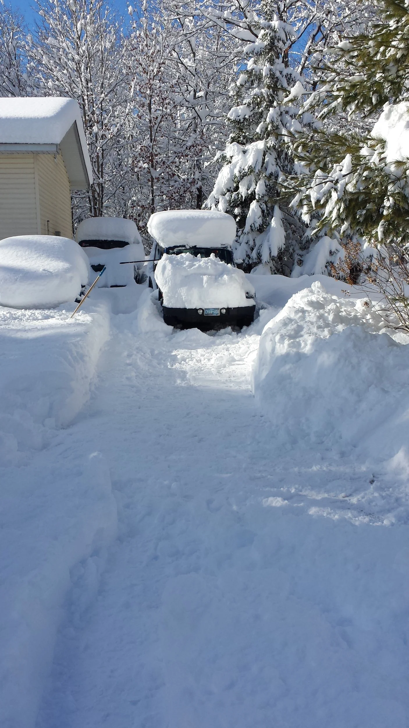 20241201_121545[1].webp