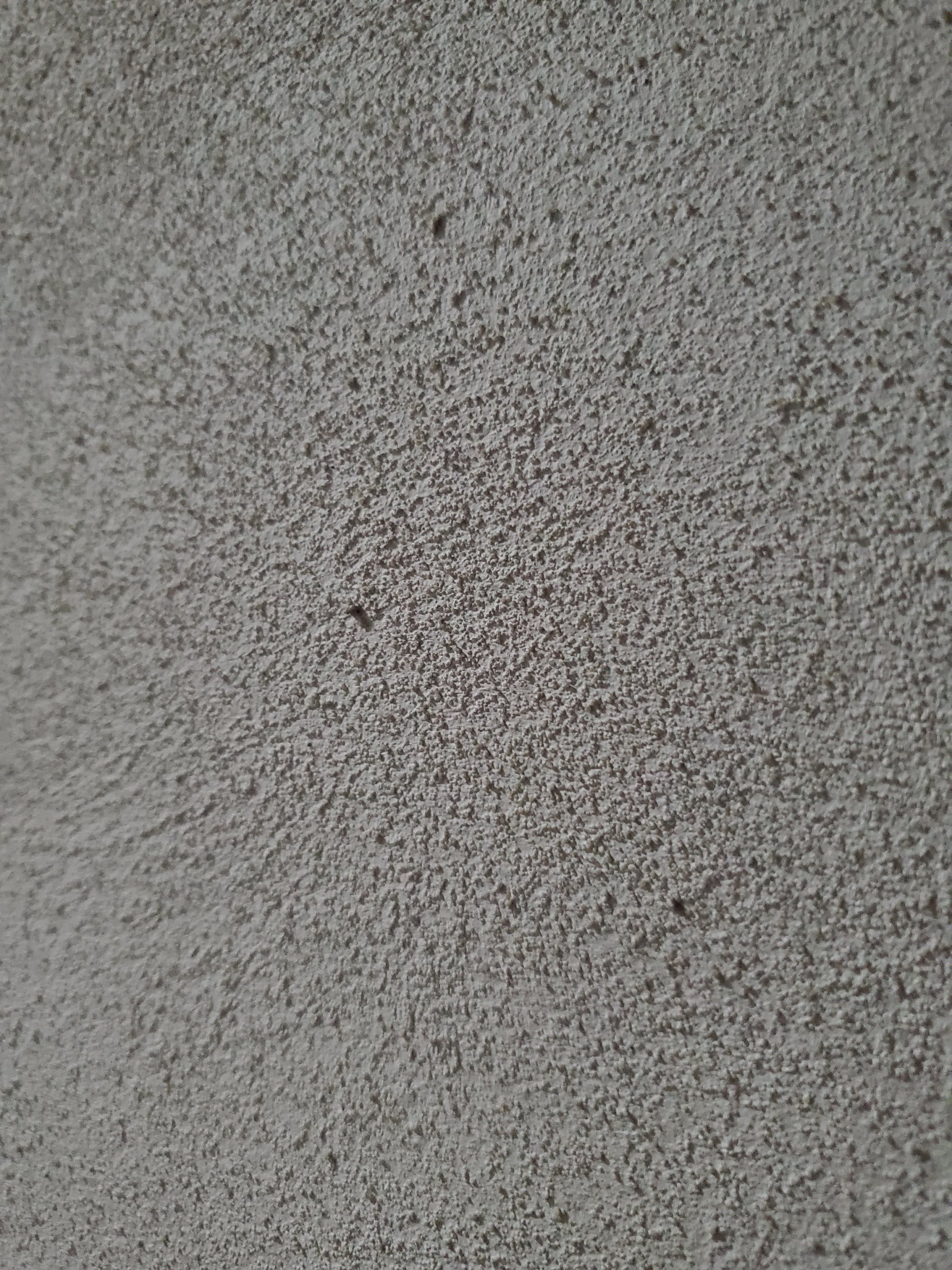 20250724_183544.jpg