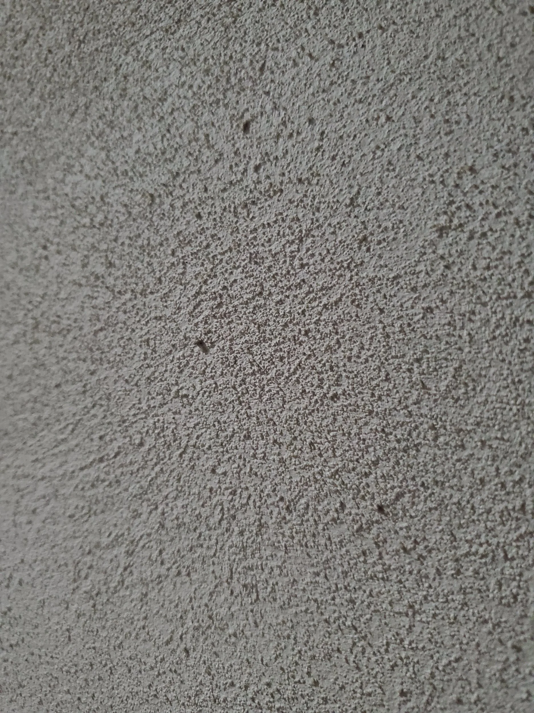 20250724_183544.webp