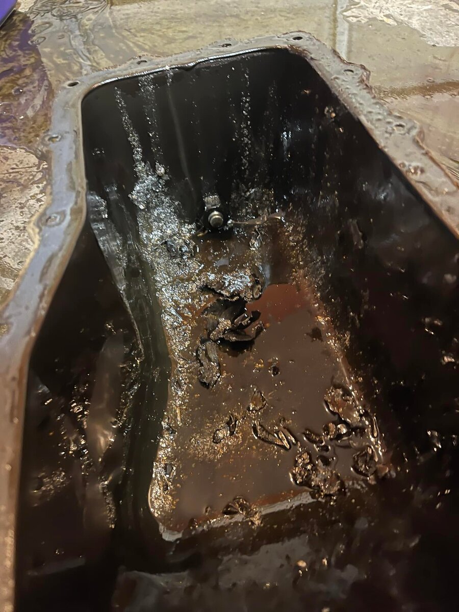 272946574_10158819099094366_2351736039869976930_n.jpg 272946574_10158819099094366_2351736039869976930_n.jpg