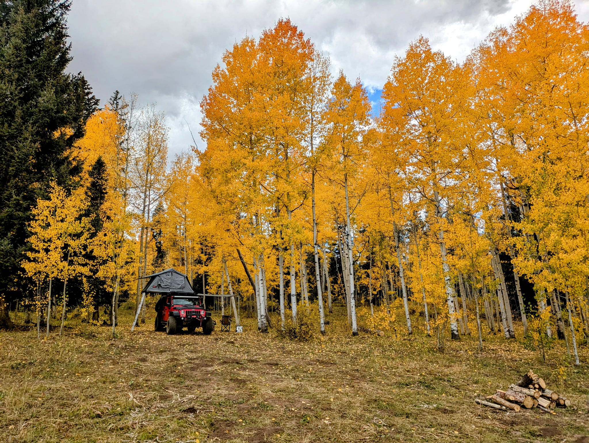 461685779_8885515651460555_2843370225678055605_n.jpg 461685779_8885515651460555_2843370225678055605_n.jpg