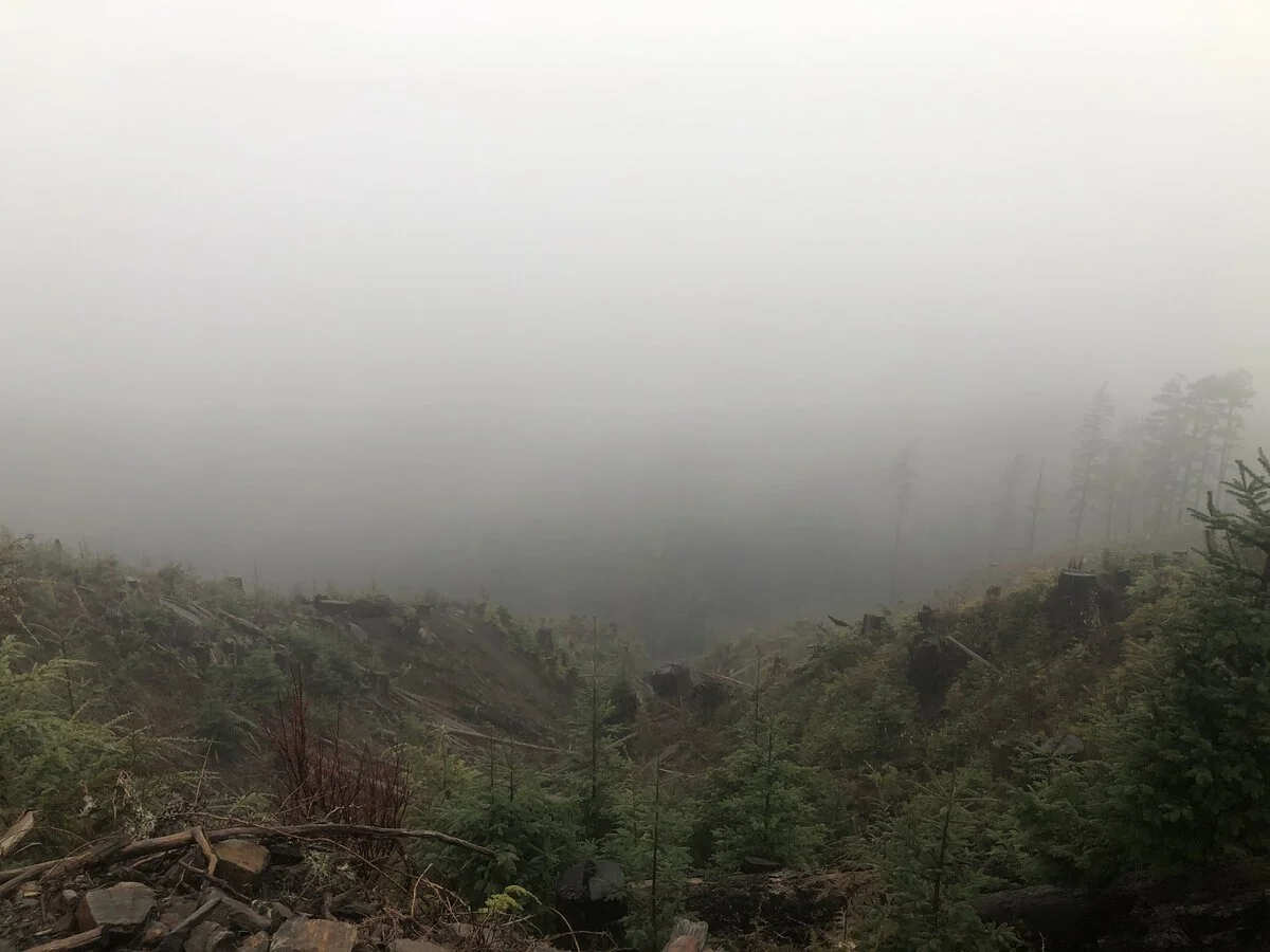 5F4A2BCA-9A88-4710-BFA1-2D9619B6CAD6.webp
