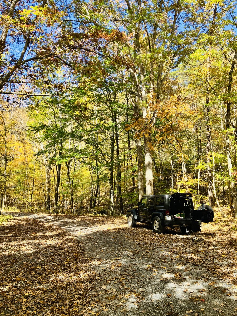 7AE2DAB1-AA99-42A1-B27F-5E53E5EABE36.jpeg 7AE2DAB1-AA99-42A1-B27F-5E53E5EABE36.jpeg