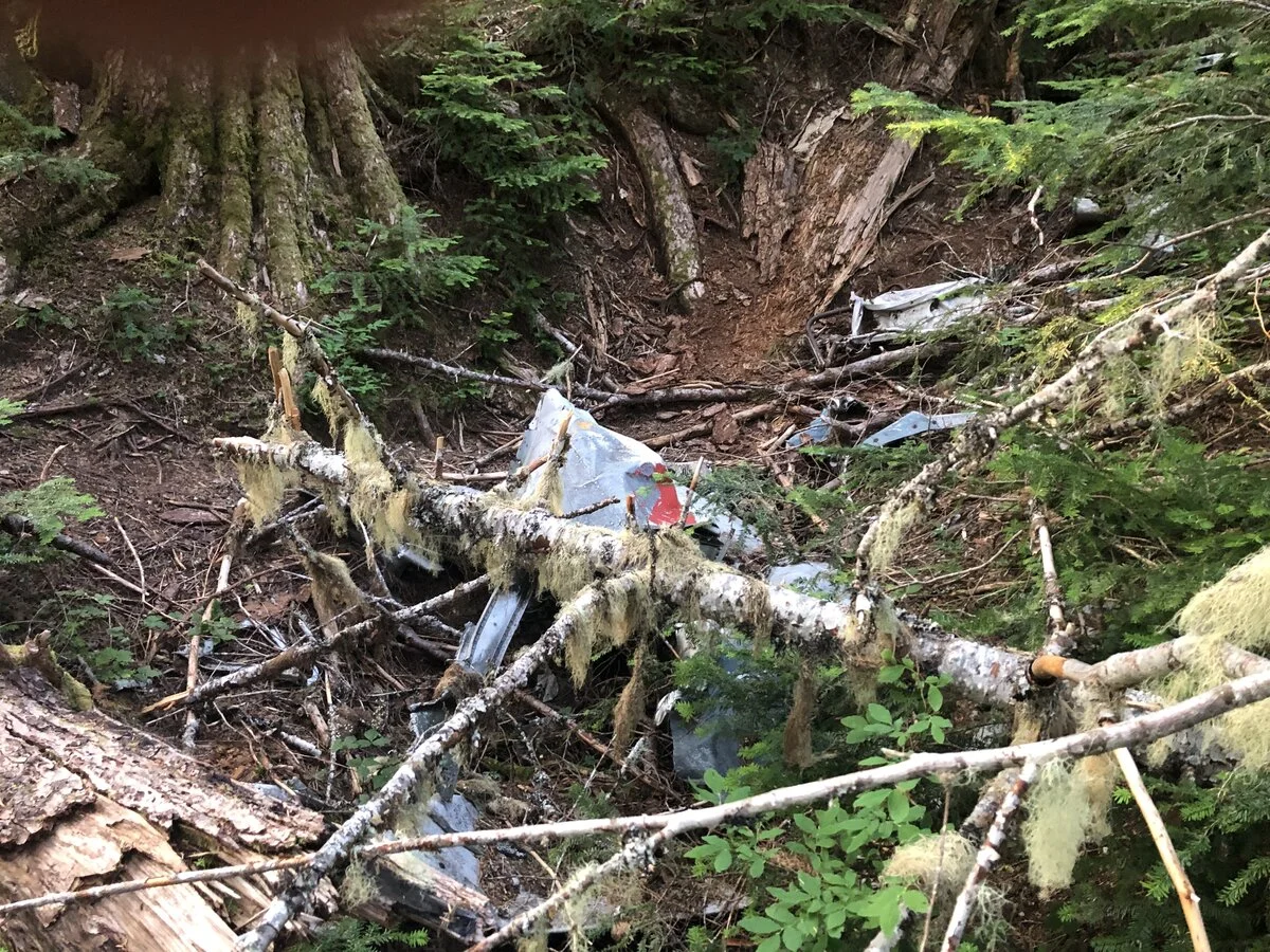 9F502BA4-43D7-4748-AC8E-CC4AAA8FFE69.webp