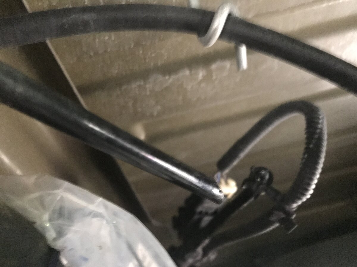 Squirrels chewing small hose going to gas filler area. What is it