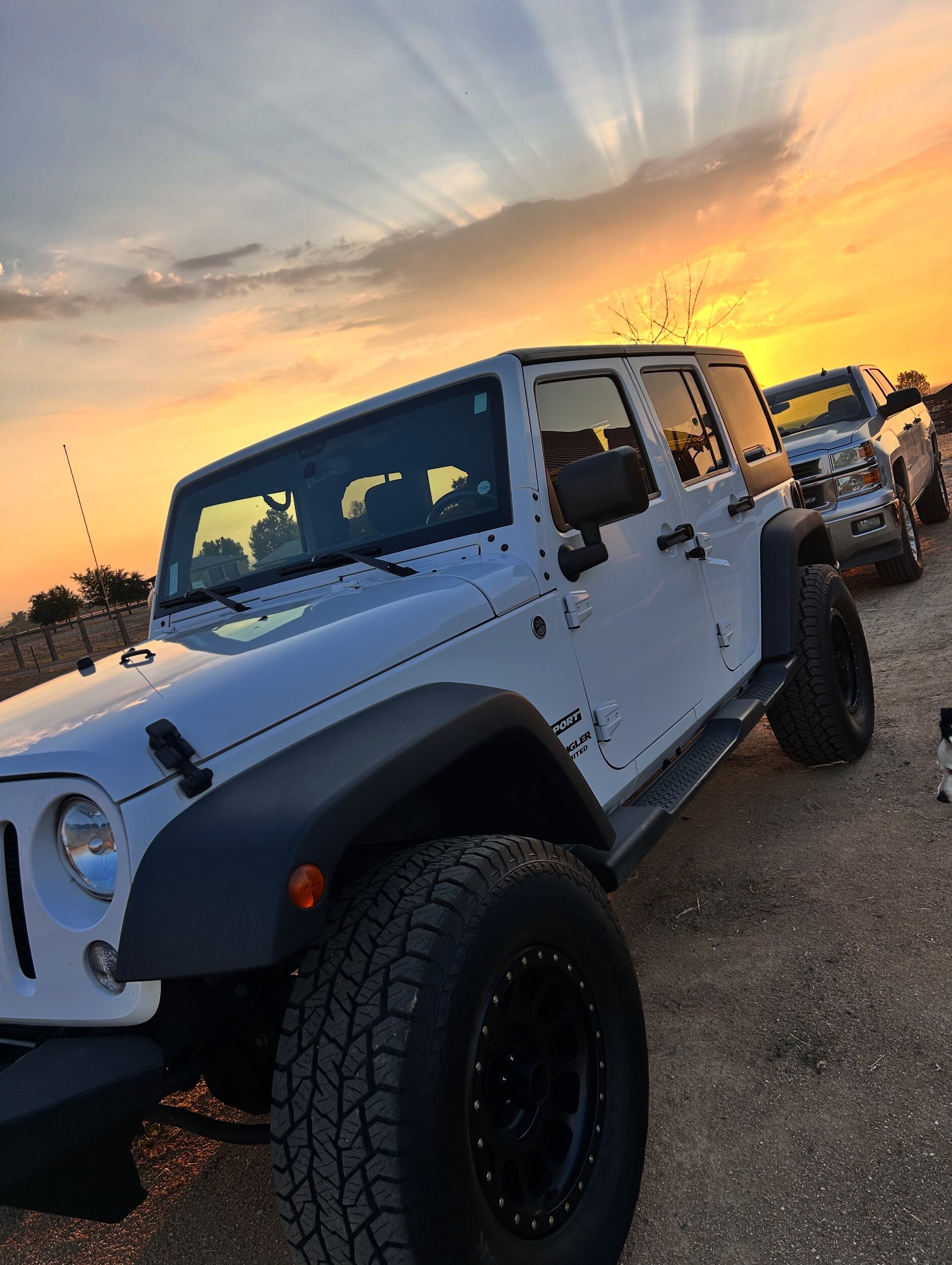 A274B67E-9604-4FE5-A890-B8DAE1CCAA4B.jpeg A274B67E-9604-4FE5-A890-B8DAE1CCAA4B.jpeg