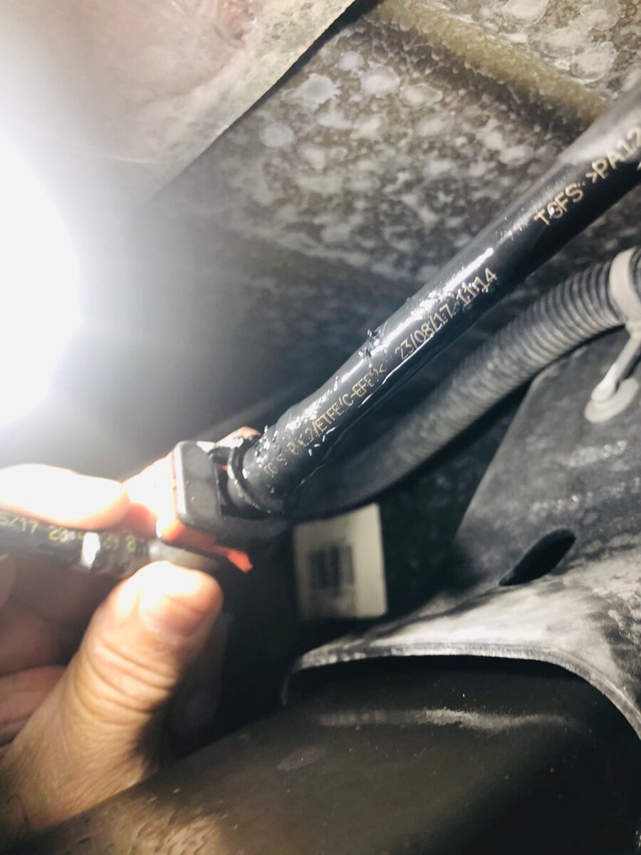 Squirrels chewing small hose going to gas filler area. What is it