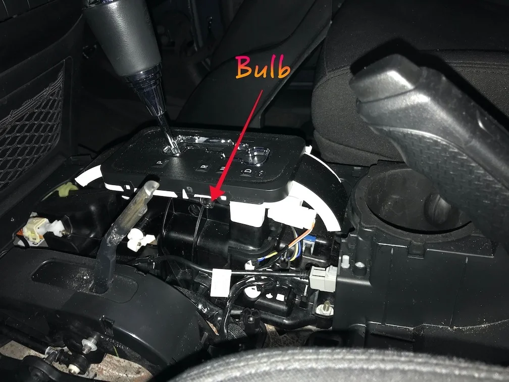 Bulb 1.jpg
