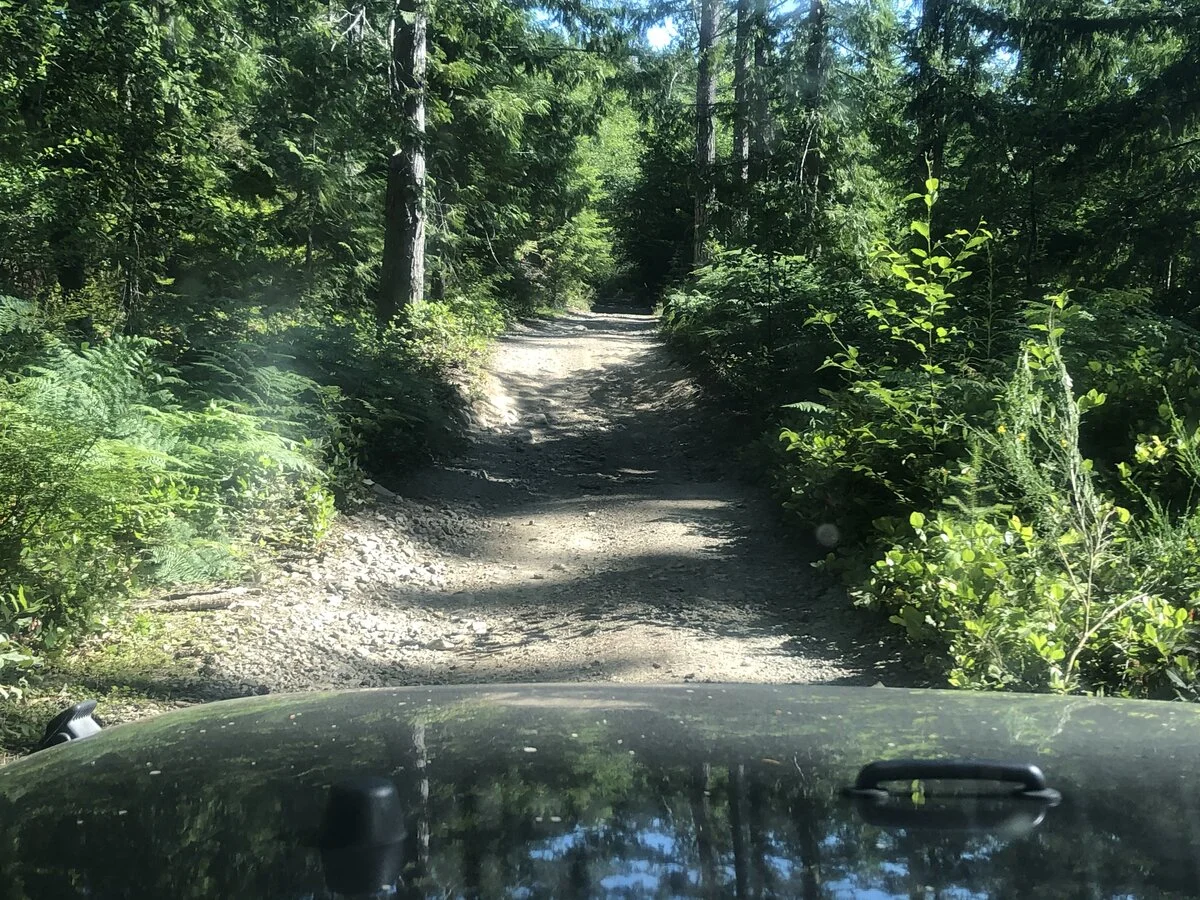 C4EE77F3-B168-4A39-A646-AD339F50259D.webp