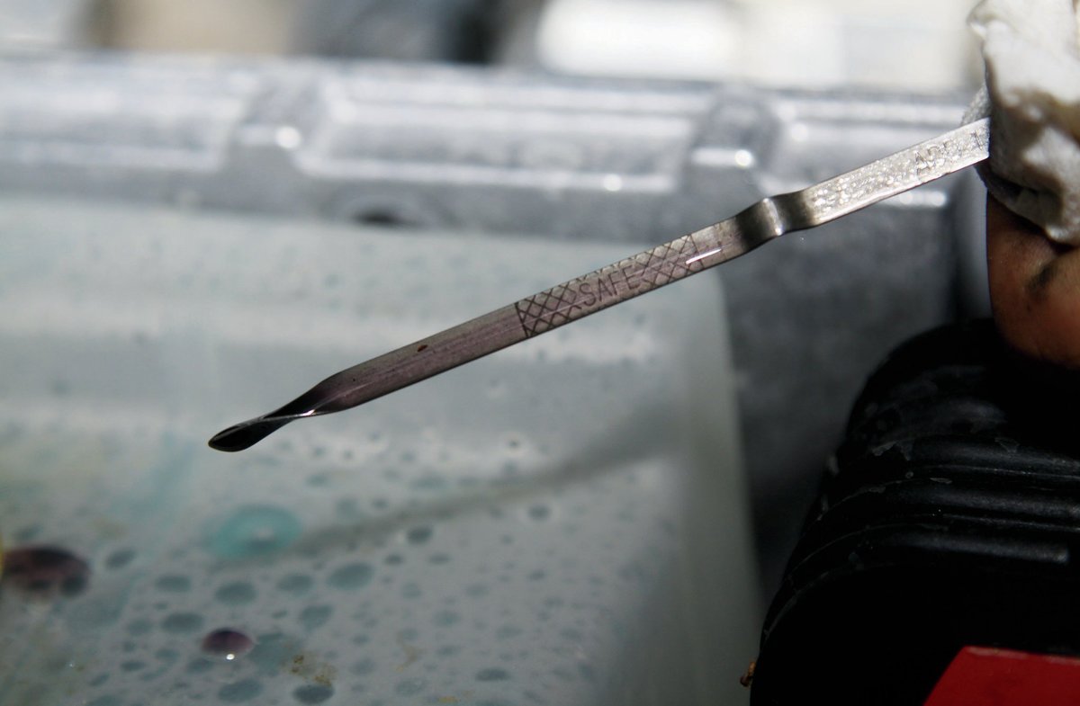 checking-dipstick.jpg checking-dipstick.jpg