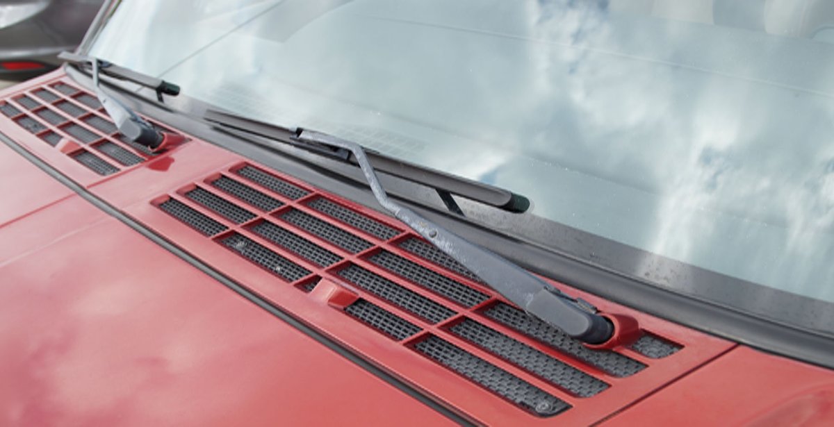 DSC00019-116466.jpg DSC00019-116466.jpg