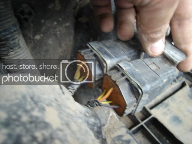 DSC03715.jpg DSC03715.jpg