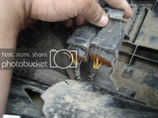 DSC03716.jpg DSC03716.jpg