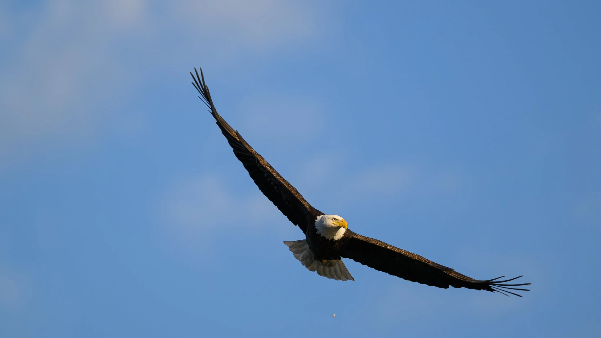 DSC_9890.webp