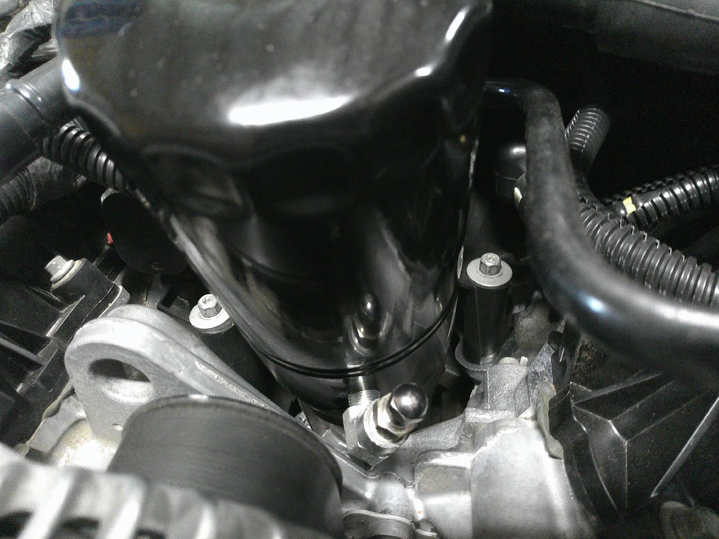 DSCF0033.webp