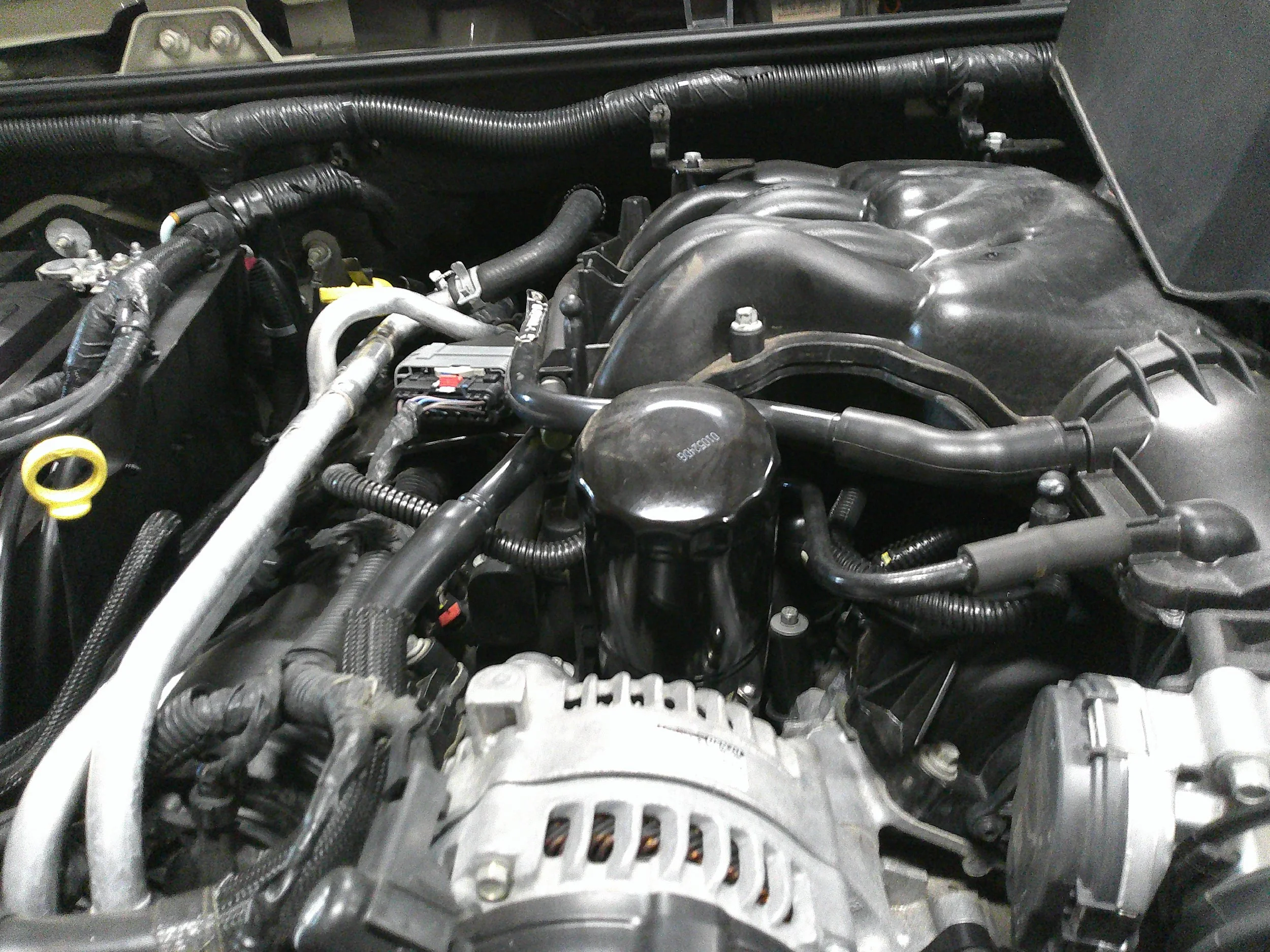 DSCF0035.webp