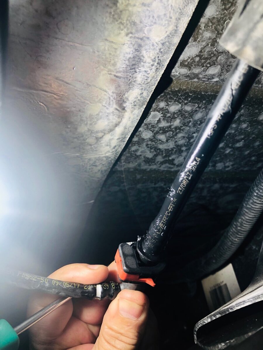 Squirrels chewing small hose going to gas filler area. What is it