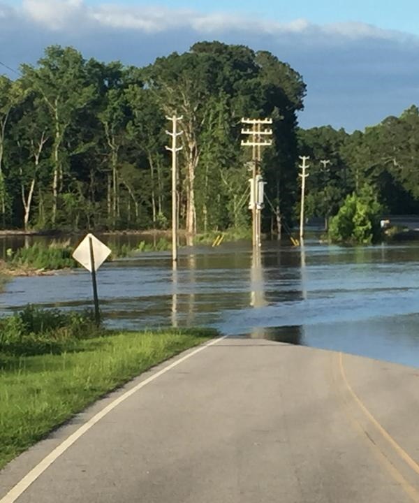 Flood 2.jpg Flood 2.jpg