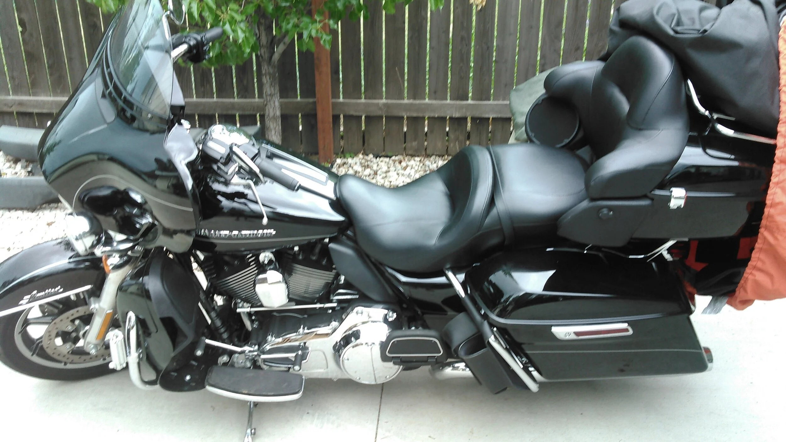 Harley 2.webp