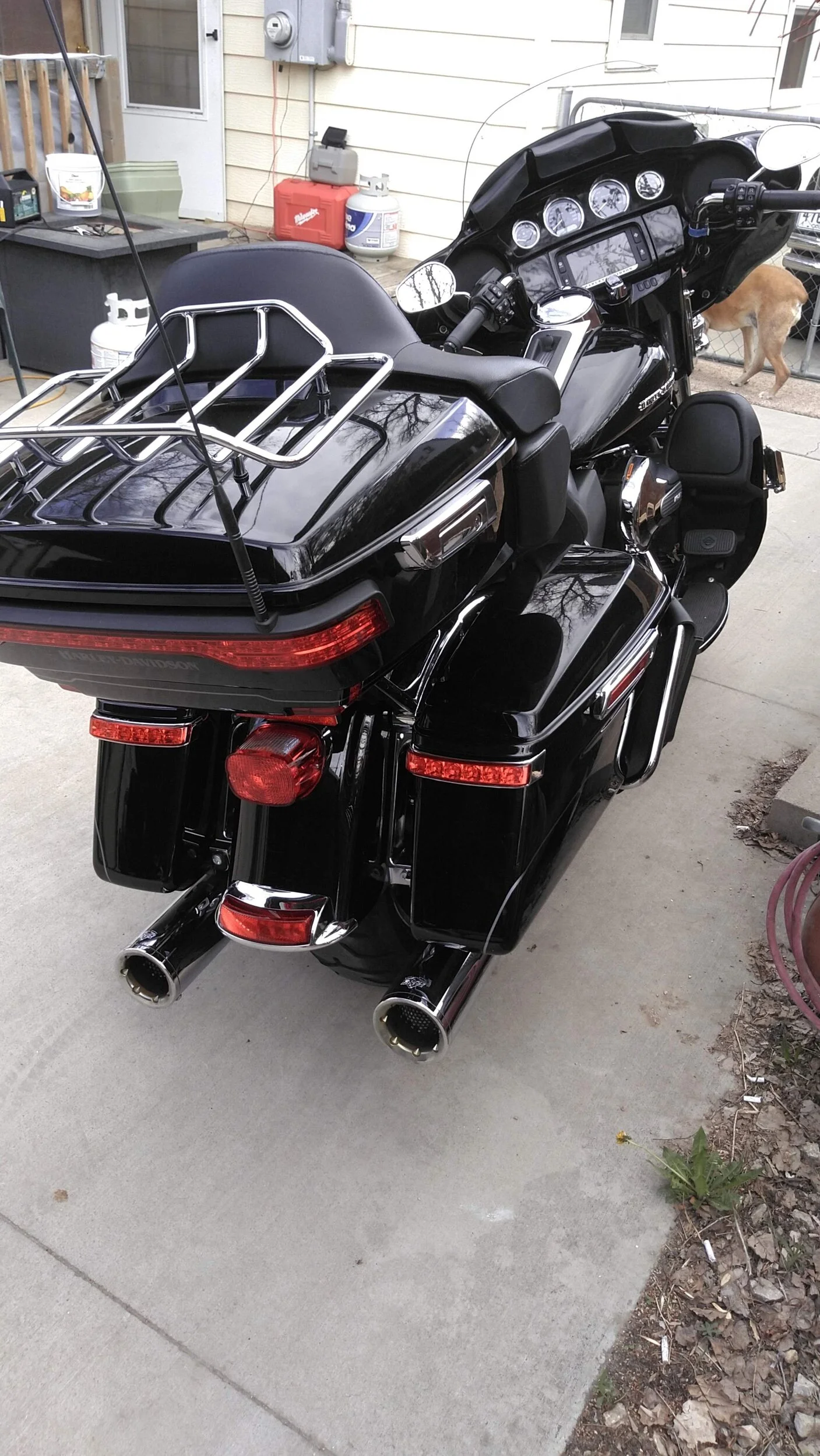 Harley1.webp