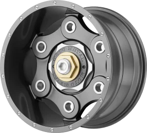 hMO9774-300x272.png