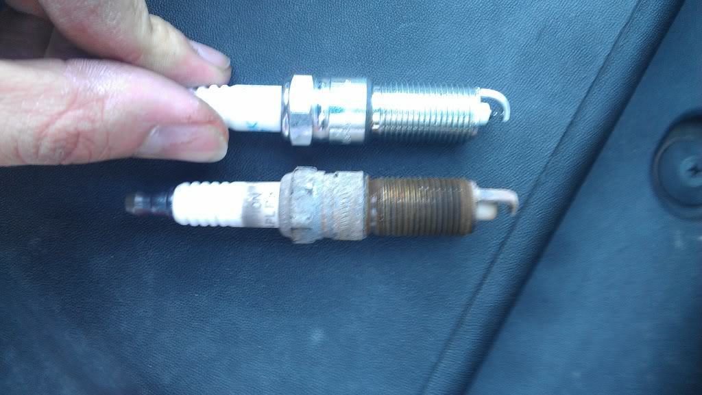 IMAG0355-116352.jpg IMAG0355-116352.jpg