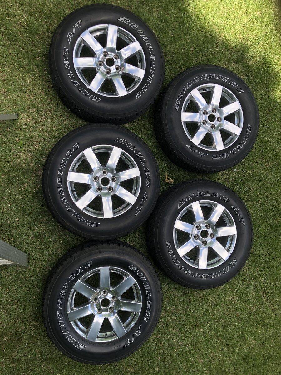 IMG-1526.jpeg IMG-1526.jpeg