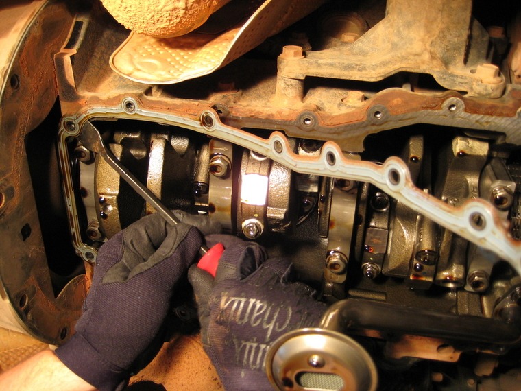 IMG_0928.jpg IMG_0928.jpg