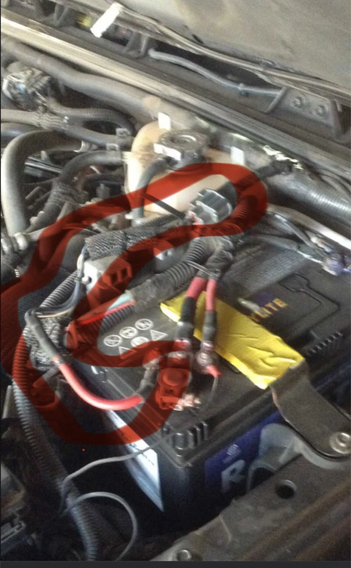 IMG_0930.webp
