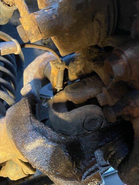 IMG_1010.jpg