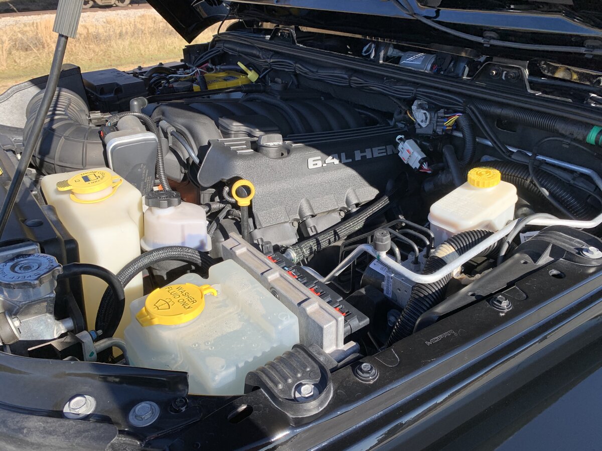 IMG_1131.jpg IMG_1131.jpg