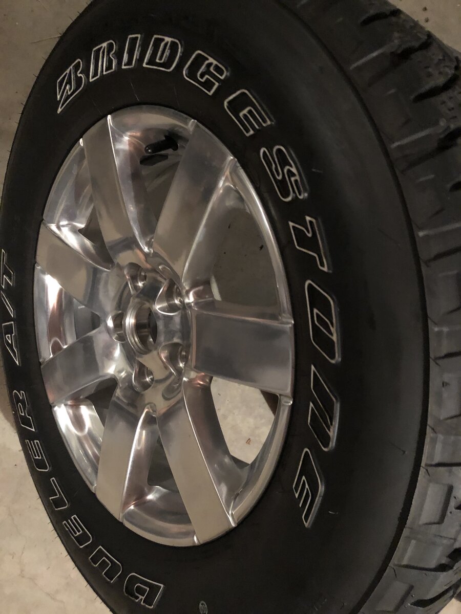 IMG_1725.jpeg IMG_1725.jpeg