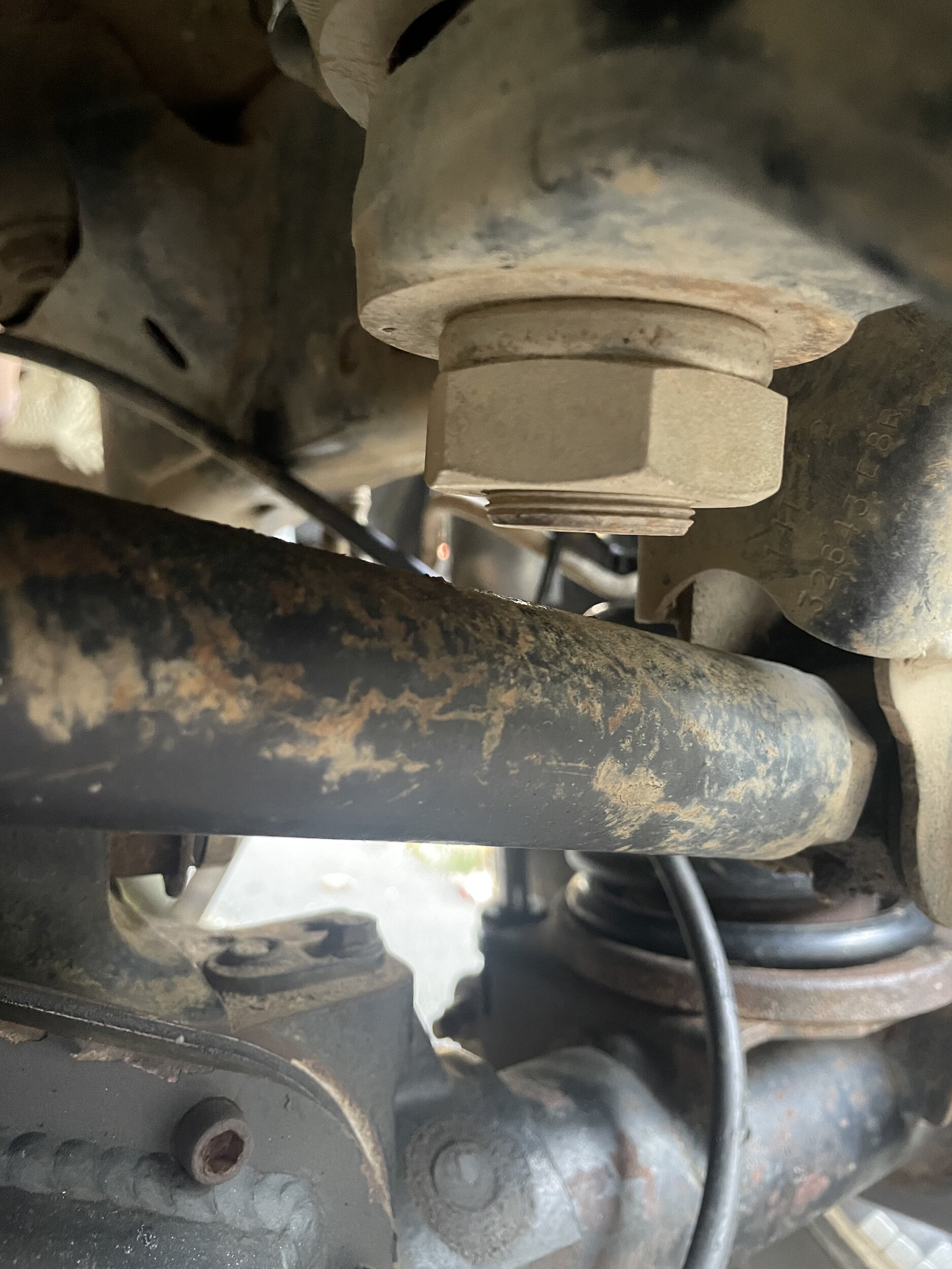 IMG_1846.jpeg IMG_1846.jpeg