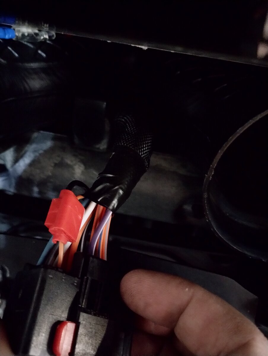 IMG_20230611_153031842.jpg IMG_20230611_153031842.jpg