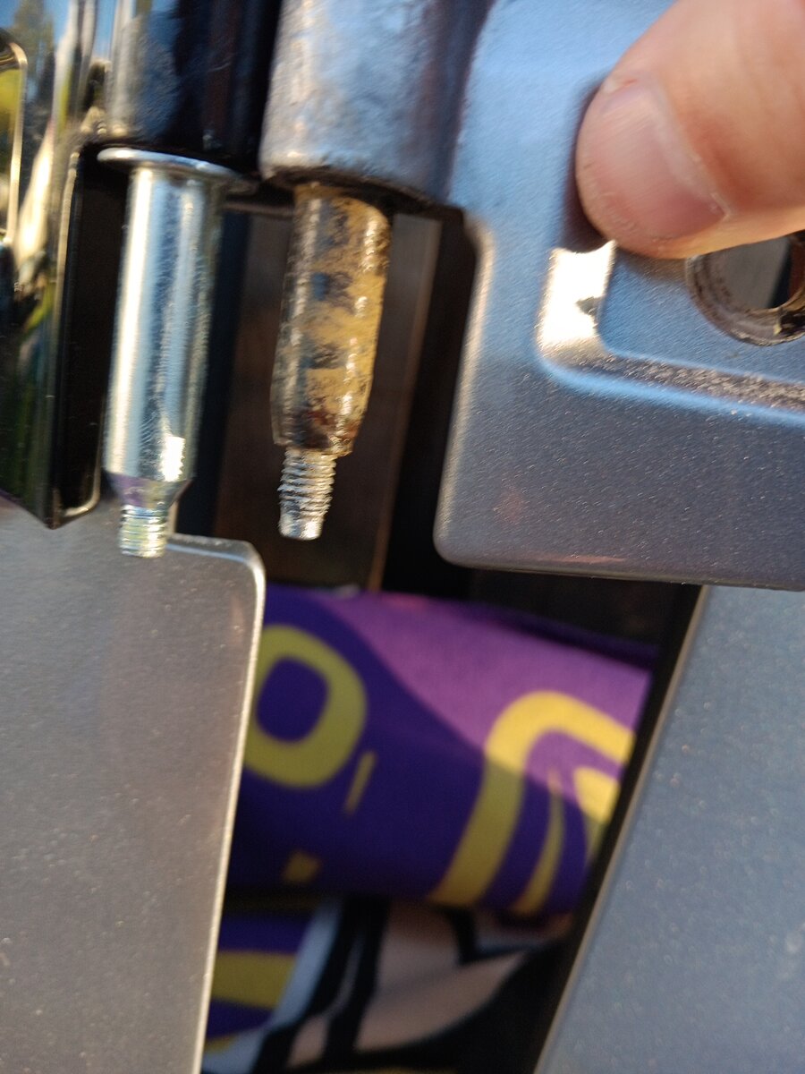 IMG_20230812_191601.jpg IMG_20230812_191601.jpg