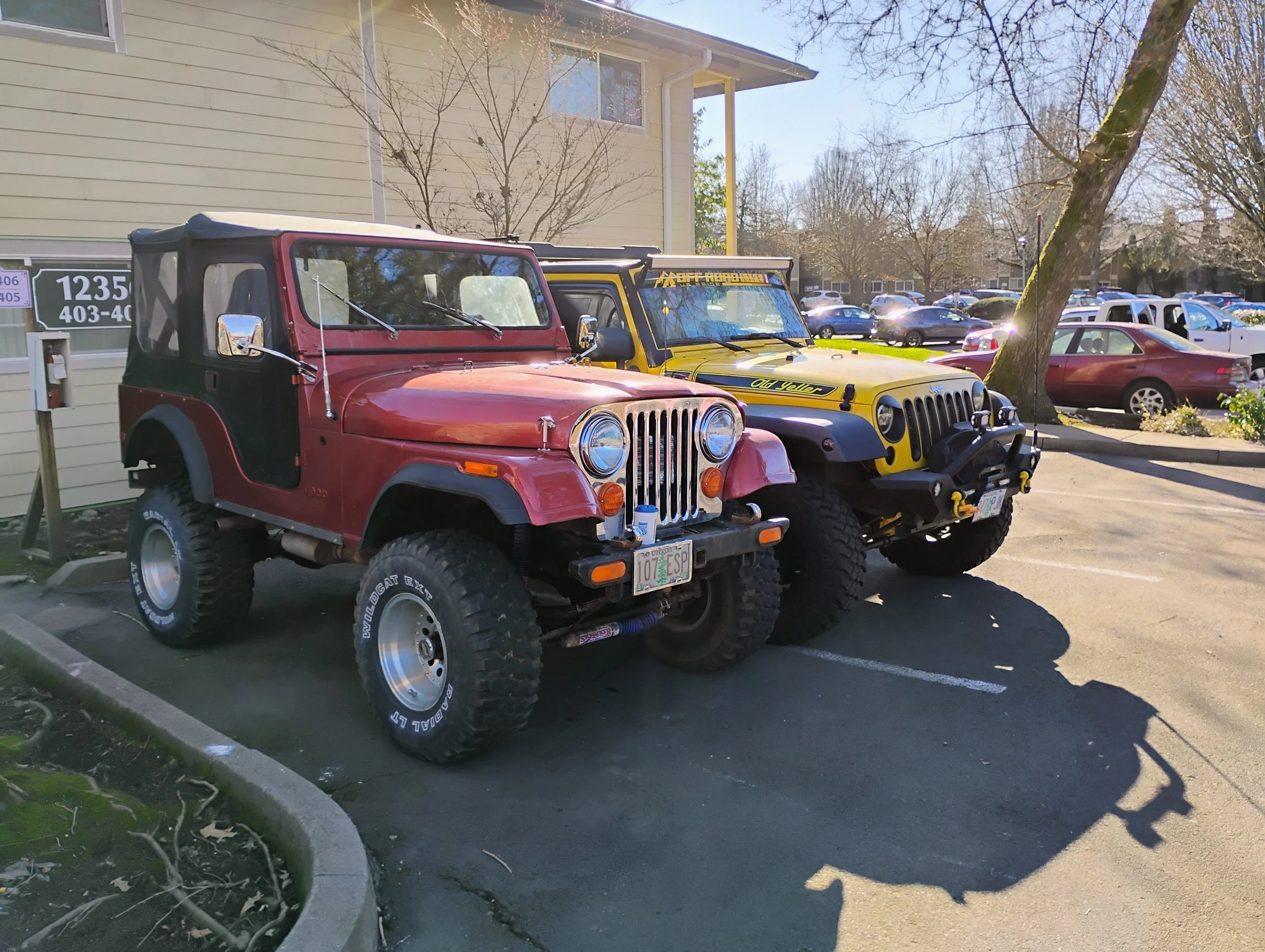 IMG_20250125_121714166_HDR_AE.webp