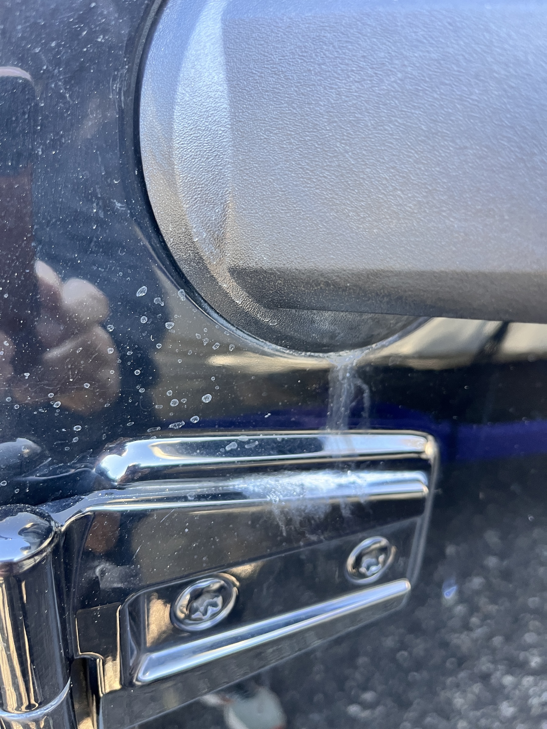 IMG_3399.JPG IMG_3399.JPG