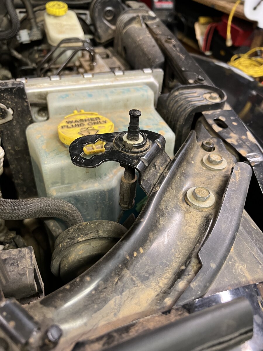 IMG_4813.jpeg IMG_4813.jpeg