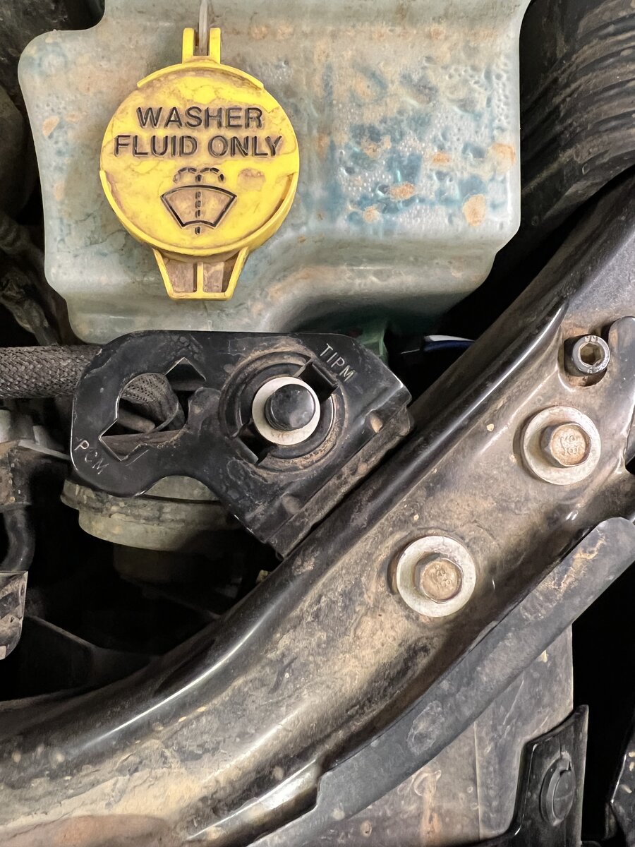 IMG_4814.jpeg IMG_4814.jpeg