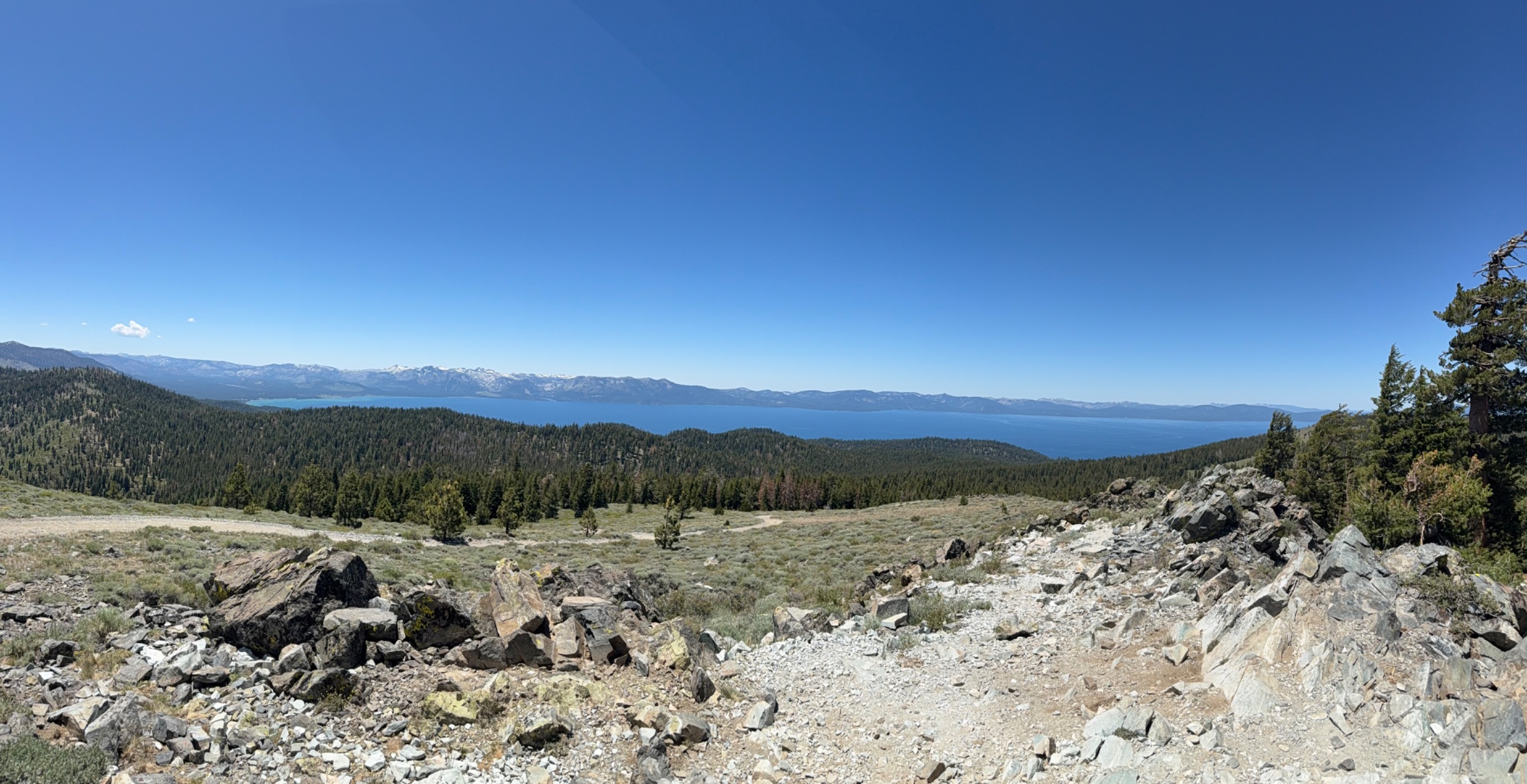 IMG_6926.jpeg