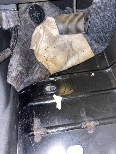 IMG_7076.jpg IMG_7076.jpg