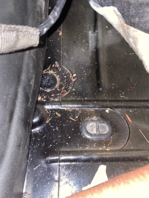 IMG_7077.jpg IMG_7077.jpg